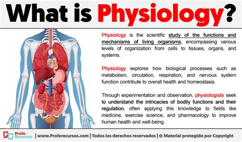 philogy meaning